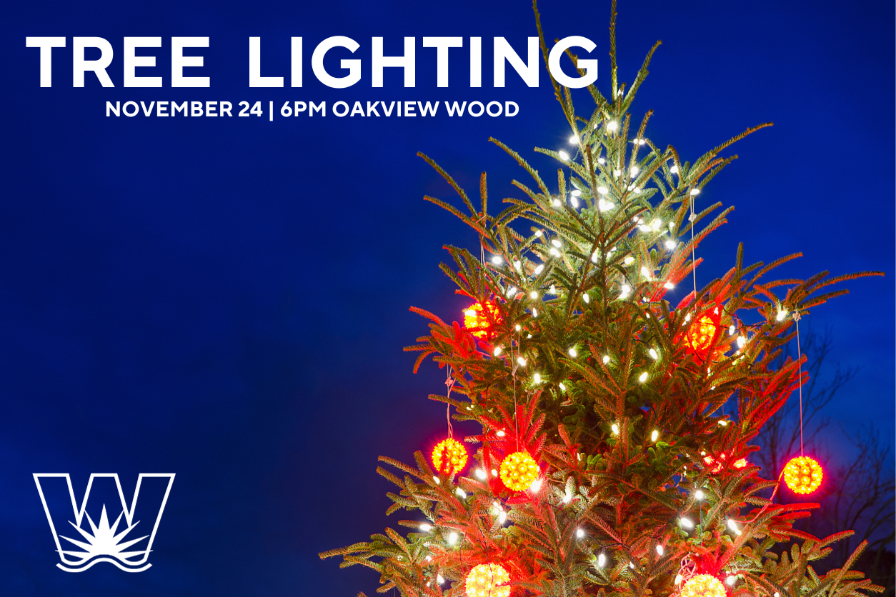 Wasaga Beach Holiday Tree Lighting